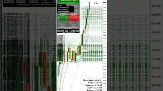 500% on XAUUSD with BBMA Oma Ally Multi Timeframe Analysis #forex #btc #btcusd #trading #xauusd