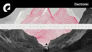 Digital Camel - The Wanderer