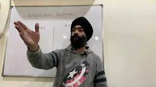 Basics For Endocrine System Class 10 ICSE