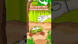 Why You MUST FREEZE Chestnuts Before Eating (It's SCIENCE!)🌰 #chestnut #animation