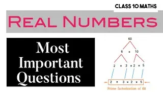 Real Numbers Class 10 - Important Questions explained ✍️✅ @Punjabedu 24