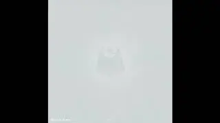 Valance Drakes - Seek To Report Experiences