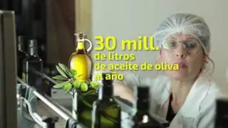 REPORTAJES 24 TVN - ACEITE DE OLIVA
