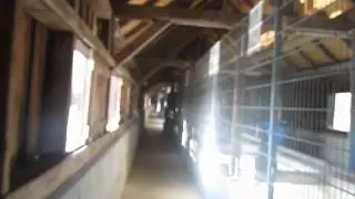 Ickinger Wehr