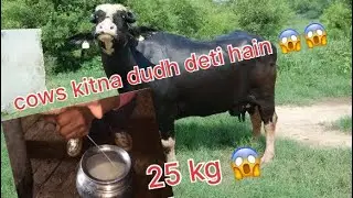 😱tour to farm😱@Animalgroupofficialchannel #minizoo #milk #subscribe #vlog #animalvlogger #cow 