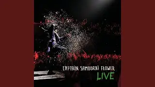 Tombé pour elle (L'île aux oiseaux) (Live)