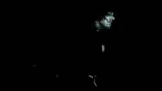 PUREAPE - Fragile