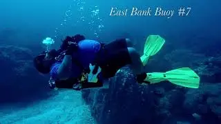 Zoo Crew Flower Gardens Dive Trip July 2020