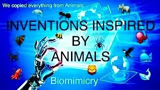INVENTIONS INSPIRED BY ANIMALS | BIOMIMICRY | TECHNOLOGY INSPIRED BY ANIMALS