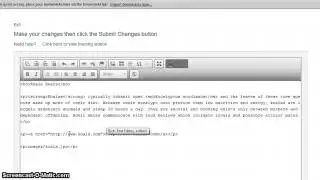 Visual Editor: Editing the HTML Source Code