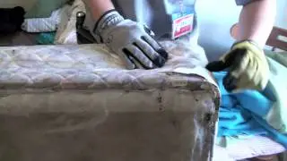 Bed Bug Inspection Process, Very Bad Bed Bugs