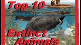 Endangered Species - Top 10 Amazing Extinct Animals