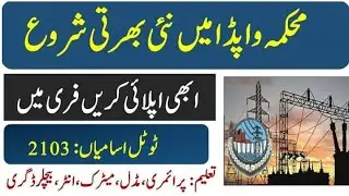 WAPDA Jobs 2022 Advertisement Application Form