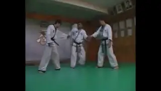 Hapkido Self Defense Volume 2