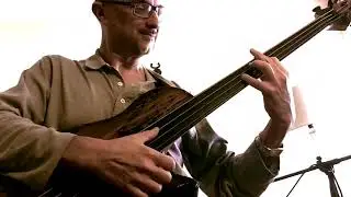 Meridian Mojo fretless bass