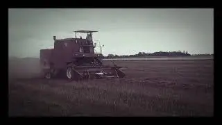 BIZON Z040 facelia 2021