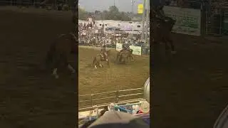 Magic valley stampede August 2025 Filer Idaho