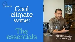 Wine 101: What to Know about Cool Climate Wines