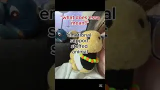 essa's are stuffed animals not service dogs #essa #essaplush #essacommunity #essadog