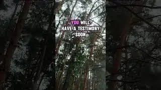 1111 💌Angels Says This To Hurt You... Angels Message✝️God Miracles Today 1111 🦋 god msg