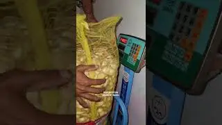 Narc G1 Garlic Available | Narc G1 Garlic Rate | Narc G1 lehsan