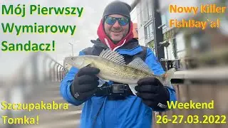 Życiówka Sandacza i Szczupak Tomka na Drop Shot | Motława - Wody Morskie #5