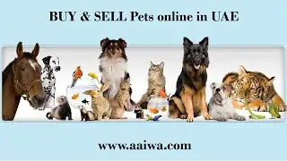 Aaiwa.com - Buy and Sell Pets in UAE - Post Free ads for Pets in Dubai, UAE