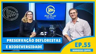 COP 30: preserva&ccedil;&atilde;o de florestas e biodiversidade