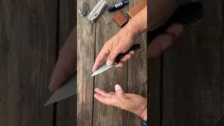 Great edc Folding Knife that Won't Break the Bank! #shorts #knife