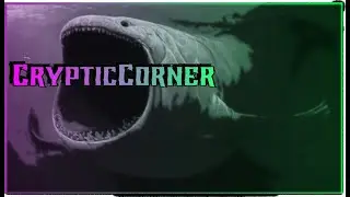 The Bloop || Ep 221 - CrypticCorner