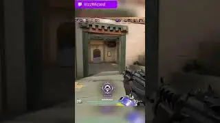 Valorant Overkill