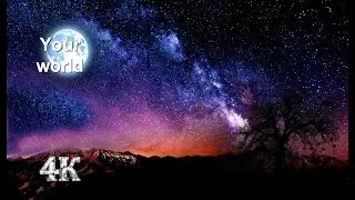 The magic of the night \\ Магия ночи!!!!