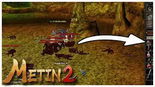Medallero para principiantes en Metin2 | ¡Mazmorra de monos fácil!