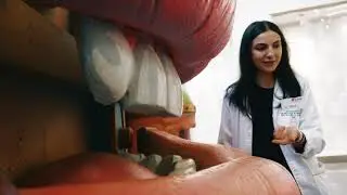 THE HUMAN BODY ADVENTURE