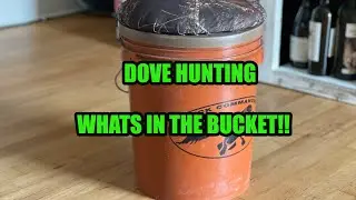 WHAT SHOULD YOU TAKE DOVE HUNTING? THESE ARE THE ESSENTIALS!