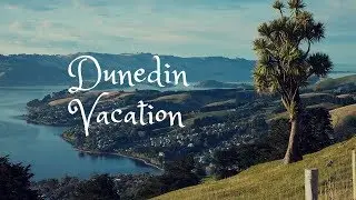 Dunedin Vacation Travel Guide
