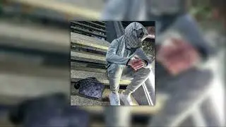 grey tracky - digga d [sped up]