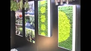 об эксцентричном ЭКО ДИЗАЙНе от Land Design Bureau