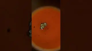 Spot Test for Sulphide