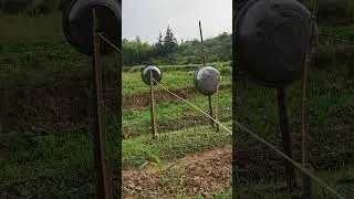 Sound defense in the field #eco-friendly bird control #sustainable farming