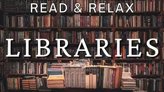 Discover Tranquility Amongst Books - Journey to the World's Most Beautiful Libraries 📚✨