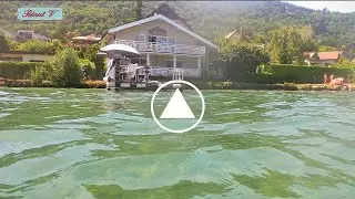Une Tanche du lac d'Annecy fait la belle devant ma cam&eacute;ra