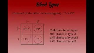 Multiple Alleles: Blood Types
