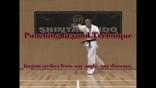 Punching Beyond Technique　Instant strikes from any angle, any distance.