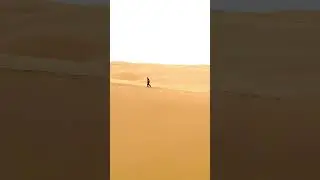 Namibia, where the dunes meet the ocean