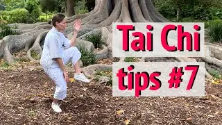Тайцзи-цюань &mdash; Совет №7 #ТайЧи