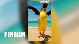 Penguin Papaya (Lyric Video)