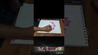 Tulip flower #art#drawing# sketch# pastel colour# subscribe 🌷🌷🌷💐💐