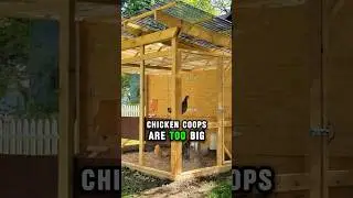 Is your chicken coop too big?