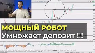 Примеры сделок на Forex с помощью советника Price Ranger!